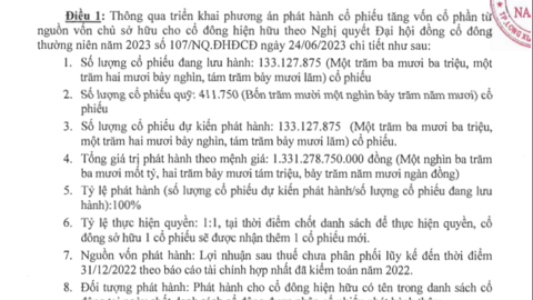 Nam Việt sẽ trở thành công ty cá tra có vốn điều lệ lớn nhất