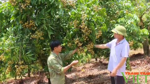 Đổi thay ở xã nông thôn mới biên giới