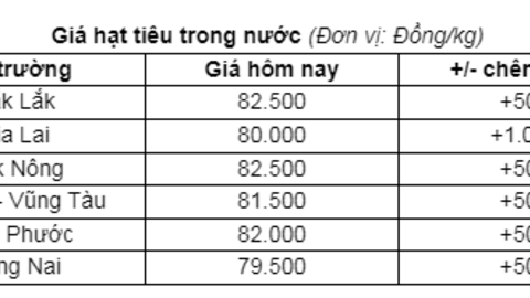 Giá tiêu tiếp tục tăng, dự báo xuất khẩu hạt tiêu của Việt Nam sẽ chậm lại