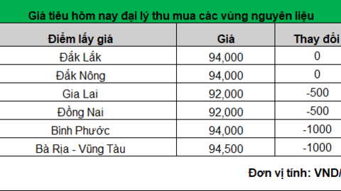 Giá hạt tiêu tiếp tục giảm, nông dân vẫn hạn chế bán tiêu ra