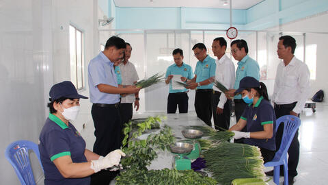 Phát huy vai trò của kinh tế hợp tác trong xây dựng nông thôn mới
