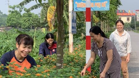 Hội LHPN Bắc Ninh trồng hoa trên bùn thải của làng nghề