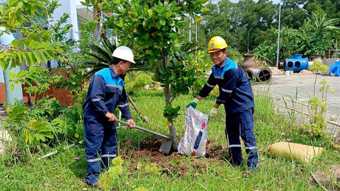 Nhà máy nước Tân Hiệp – Trồng cây xanh góp phần bảo vệ môi trường