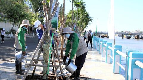 Bình Thuận nhân rộng các công trình trồng cây xanh