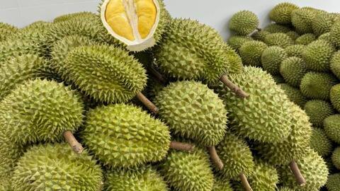 Trung Quốc ăn sầu riêng nhiều nhất thế giới, phát thải ra lượng CO2 khổng lồ