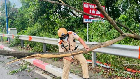 TP Hồ Chí Minh khuyến cáo người dân gia cố nhà ở phòng bão