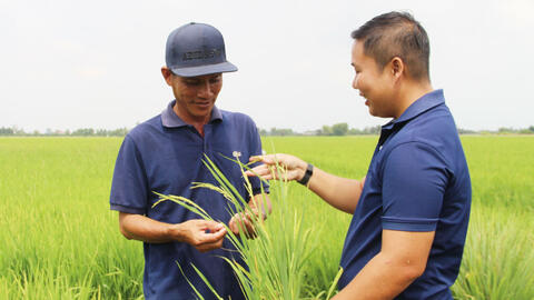 Bảo đảm nguồn nước phục vụ sản xuất