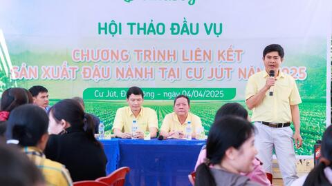 Vụ mới bắt đầu trên “cánh đồng đạm tự nhiên” ở Cư Jút
