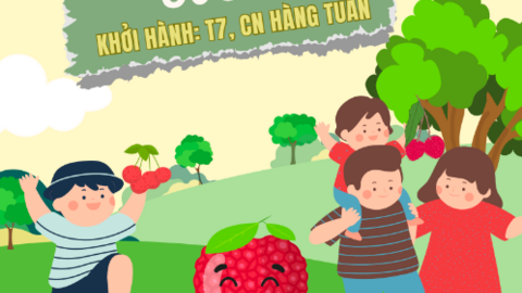 Du lịch nông sản 0 đồng ‘hút khách’ mùa hè