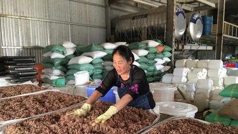 Làm OCOP để thúc đẩy phát triển KT-XH ở Lai Châu