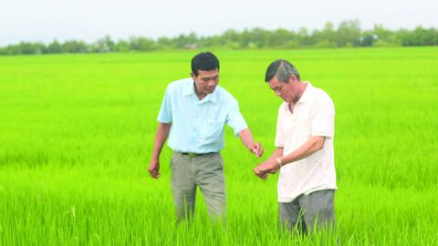 Chia sẻ, hỗ trợ để cùng sản xuất hiệu quả