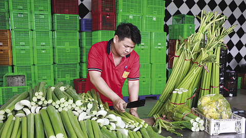 Thay đổi phương thức hỗ trợ hợp tác xã, nên không?