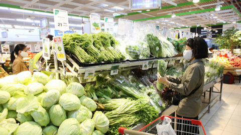 Chuỗi liên kết nông nghiệp Thủ đô: Thông suốt vượt dịch bệnh