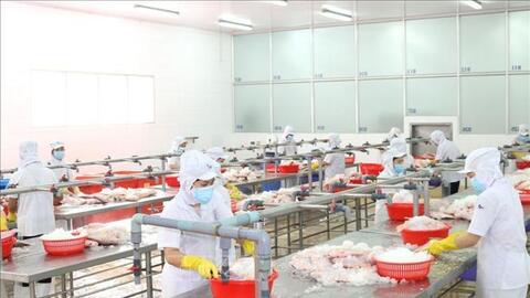 Tháo gỡ thủ tục hành chính cho doanh nghiệp nông nghiệp