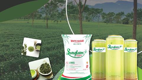 Công ty CP Mía đường Sông Lam đầu tư trọng tâm vào sản xuất nông nghiệp sạch - công nghệ cao