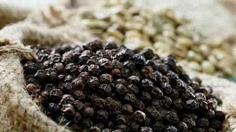 Giá hạt tiêu xuất khẩu bình quân tháng 8/2021 đạt cao nhất trong 4 năm