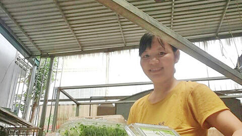 Đẩy mạnh xây dựng NTM nâng cao, Gia Lâm sớm lên quận