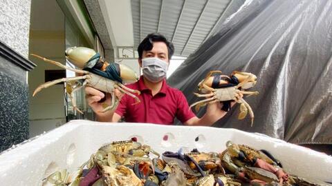 Thị trường thủy sản phía Nam đang "ấm nóng" trở lại