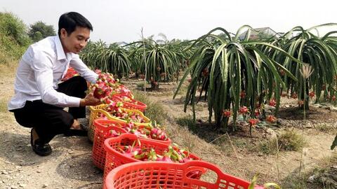 Long An "trải thảm đỏ" để nông dân đưa nông sản lên sàn