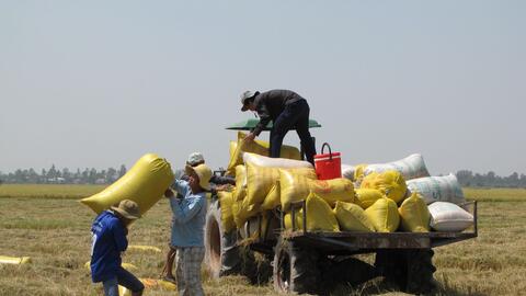 Nhân rộng, duy trì mô hình ứng dụng công nghệ cao được hỗ trợ gì?