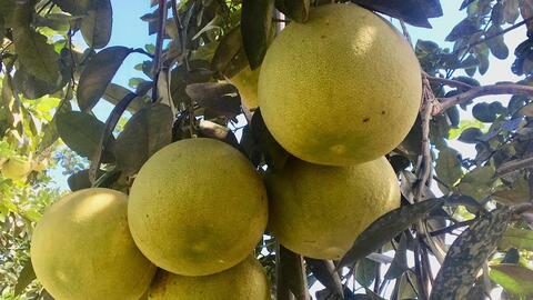 Hà Tĩnh phân bổ hơn 25 tỷ đồng xây dựng nông thôn mới năm 2021