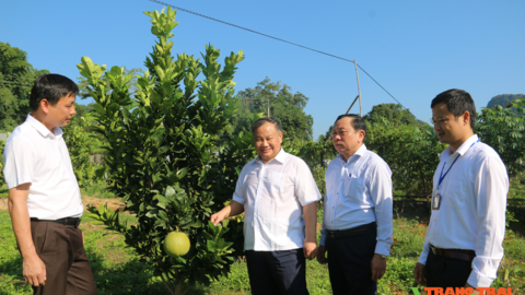 Trung ương Hội Nông dân Việt Nam: Bàn giao tài sản  Trung tâm Dạy nghề và Hỗ trợ nông dân cho Sơn La