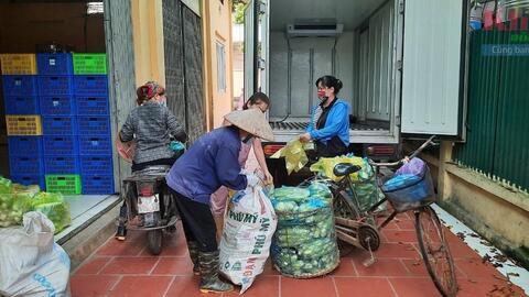 Đậm đà vị phù sa rau OCOP 3 sao Thanh Trì