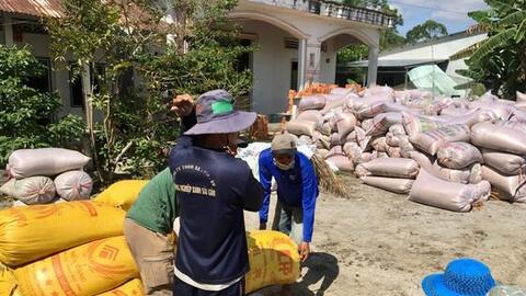 ĐBSCL: Nông dân bán lúa nhanh, giá gạo xuất khẩu tăng