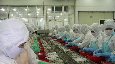 Xuất khẩu tôm sang Hàn Quốc trong năm 2021 dự kiến tăng