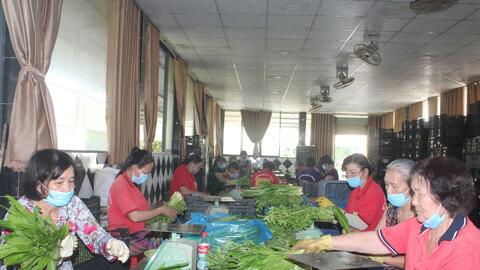 Phát huy vai trò kinh tế tập thể trong tái cơ cấu ngành nông nghiệp