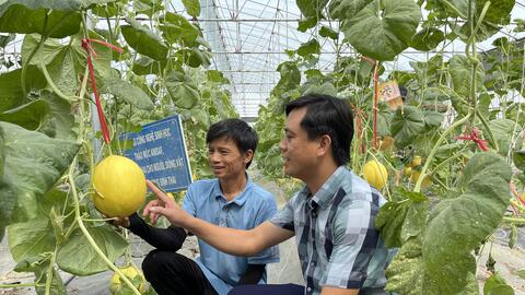 Định hướng rõ phát triển nông nghiệp vùng phụ cận TP Vinh