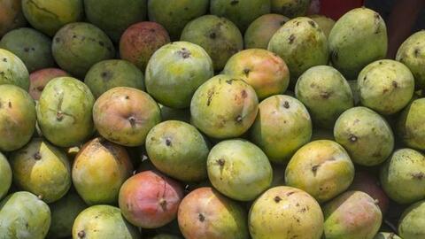 Tại sao ASEAN cần cắt giảm các biện pháp phi thuế quan đối với nhập khẩu nông sản thực phẩm?