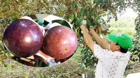 "Vua tiêu” tiết lộ bí quyết để bán nông sản vào Mỹ