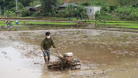 Nông thôn Tây Bắc: Nông dân Chiềng Khoang xuống đồng gieo cấy lúa xuân