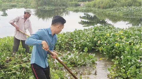 Vớt bèo khơi thông dòng chảy