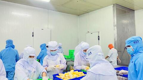 Muốn xuất khẩu nông sản thuận lợi, ổn định sang Trung Quốc, phải đi đường chính ngạch