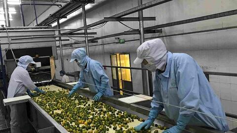 Chế biến và bảo quản nông sản: Phải cải thiện trình độ và năng lực công nghệ