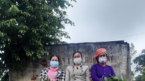 Hội LHPN xã Khánh Yên Trung hỗ trợ cây giống cho hộ nghèo