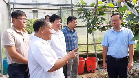 Hội Nông dân tỉnh Hoà Bình: Tạo chỗ dựa vững chắc cho hội viên làm giàu