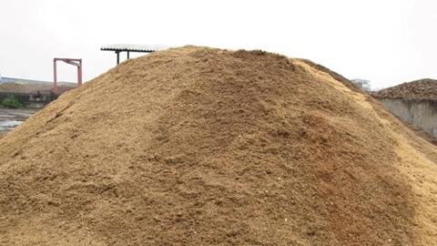 Biến phụ phẩm ngành giấy thành thức ăn chăn nuôi