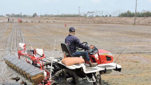 Chủ động các giải pháp để sản xuất hiệu quả vụ Hè Thu 2022