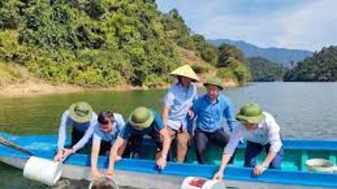 Nuôi cá thát lát, mô hình mới trên lòng hồ thủy điện Hủa Na