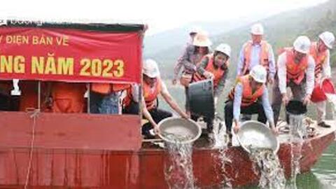 Thả trên 50 nghìn con cá giống xuống lòng hồ Thủy điện Bản Vẽ
