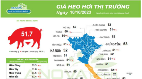 Giá lợn hơi vẫn tụt dốc không phanh, chưa thể hồi phục sớm