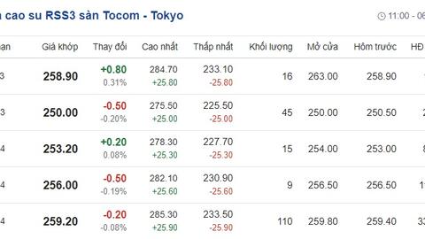 Giá cao su hôm nay 27/10: Cập nhật giá cao su trong nước và thế giới