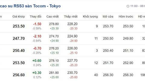 Giá cao su hôm nay 3/11: Cập nhật giá cao su trong nước và thế giới