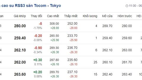 Giá cao su hôm nay 20/11: Cập nhật giá cao su trong nước và thế giới