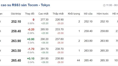 Giá cao su hôm nay 21/11: Cập nhật giá cao su trong nước và thế giới