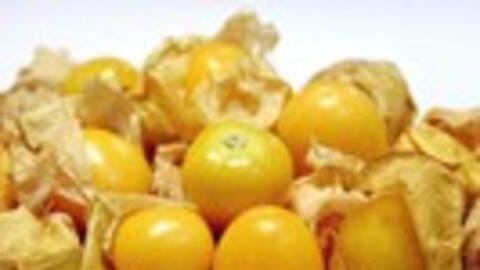 Loại quả mọc dại ở nhiều miền quê hóa ra lại cực bổ dưỡng