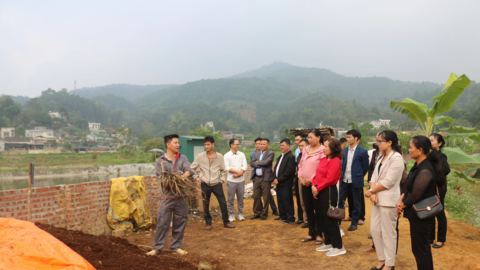 Nông dân Lào Cai tham quan, học hỏi kinh nghiệm mô hình xử lý rác thải hữu cơ